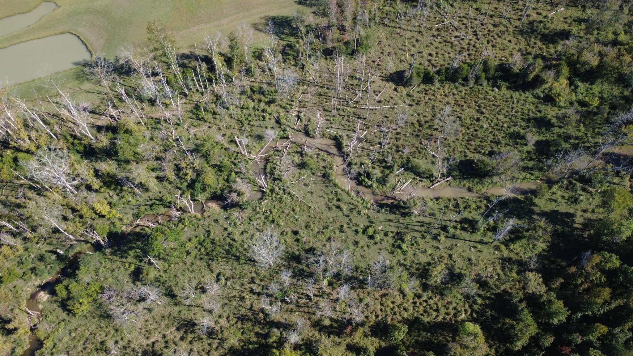 0 No Pone Valley Road, Georgetown, TN 37336