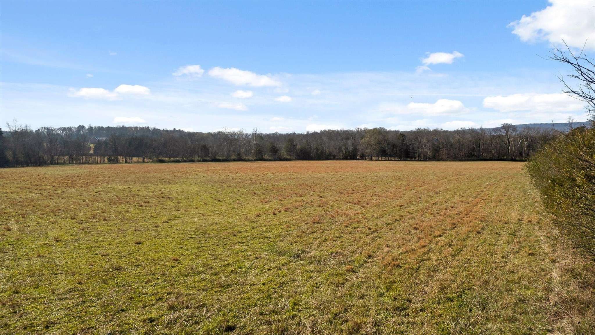 0 Brock Road, Chickamauga, GA 30707