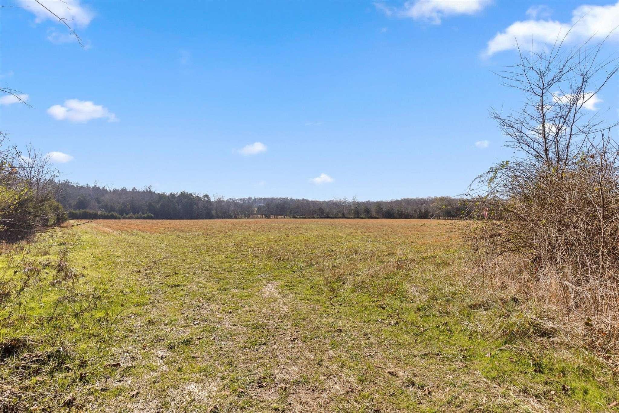 0 Brock Road, Chickamauga, GA 30707