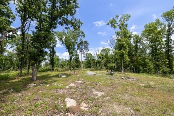 0 Goose Branch Rd, Lynchburg, TN 37352