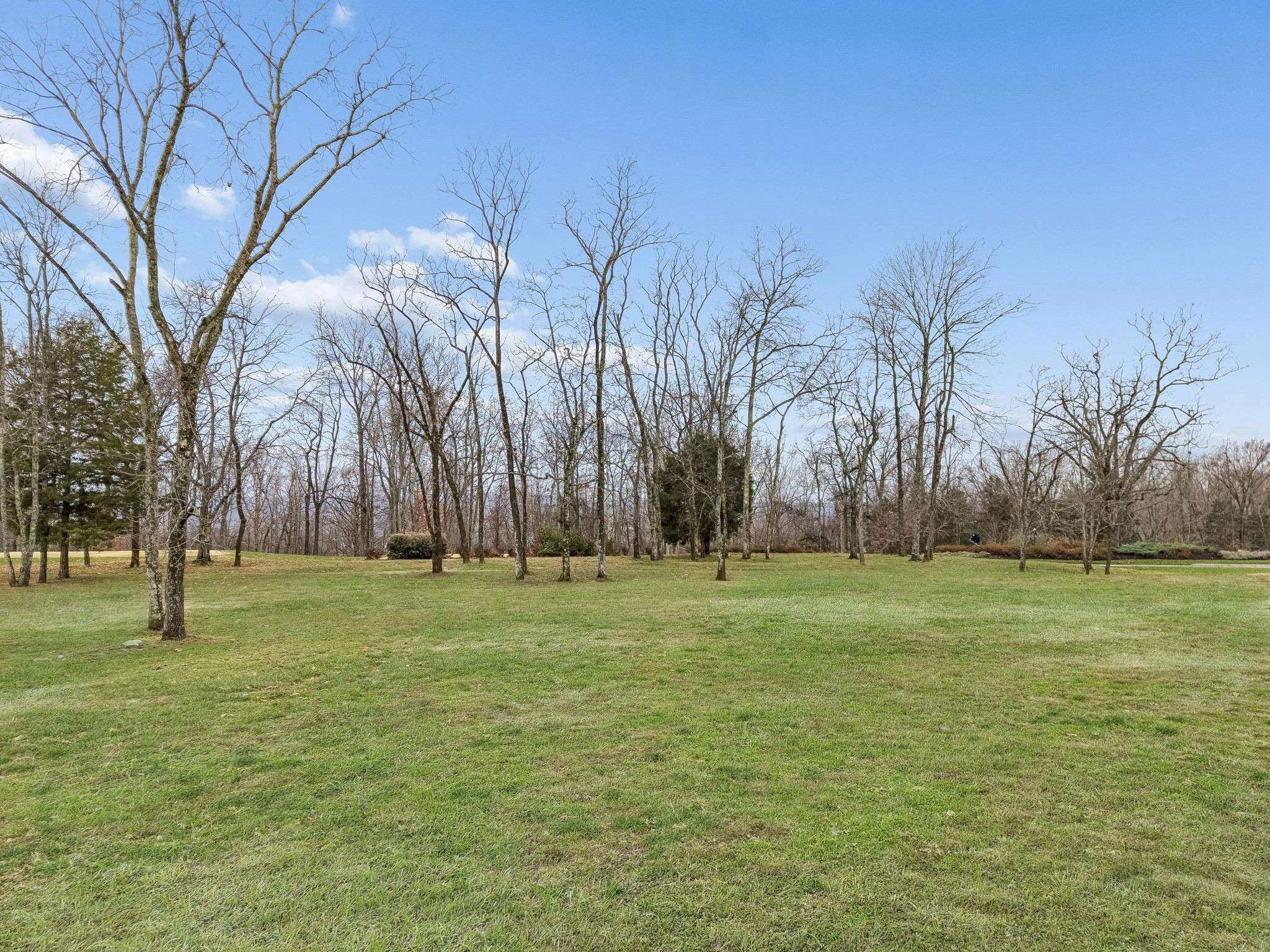 8025 Backwoods Dr, College Grove, TN 37046