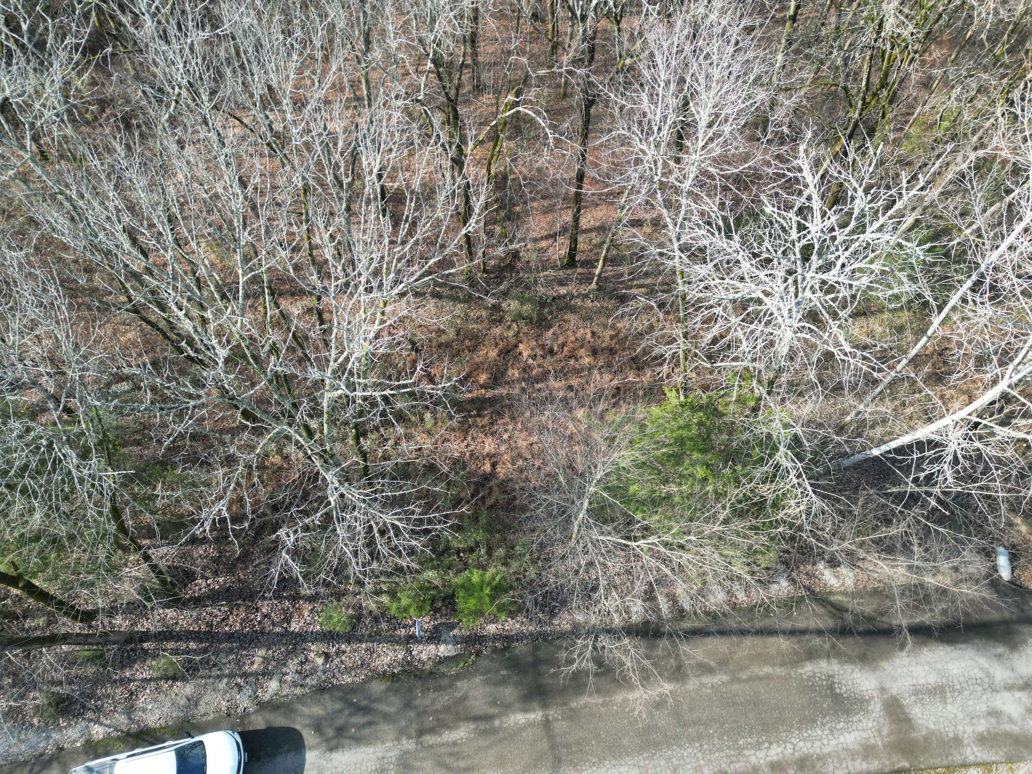 0 Wilson Circle, Smithville, TN 37166