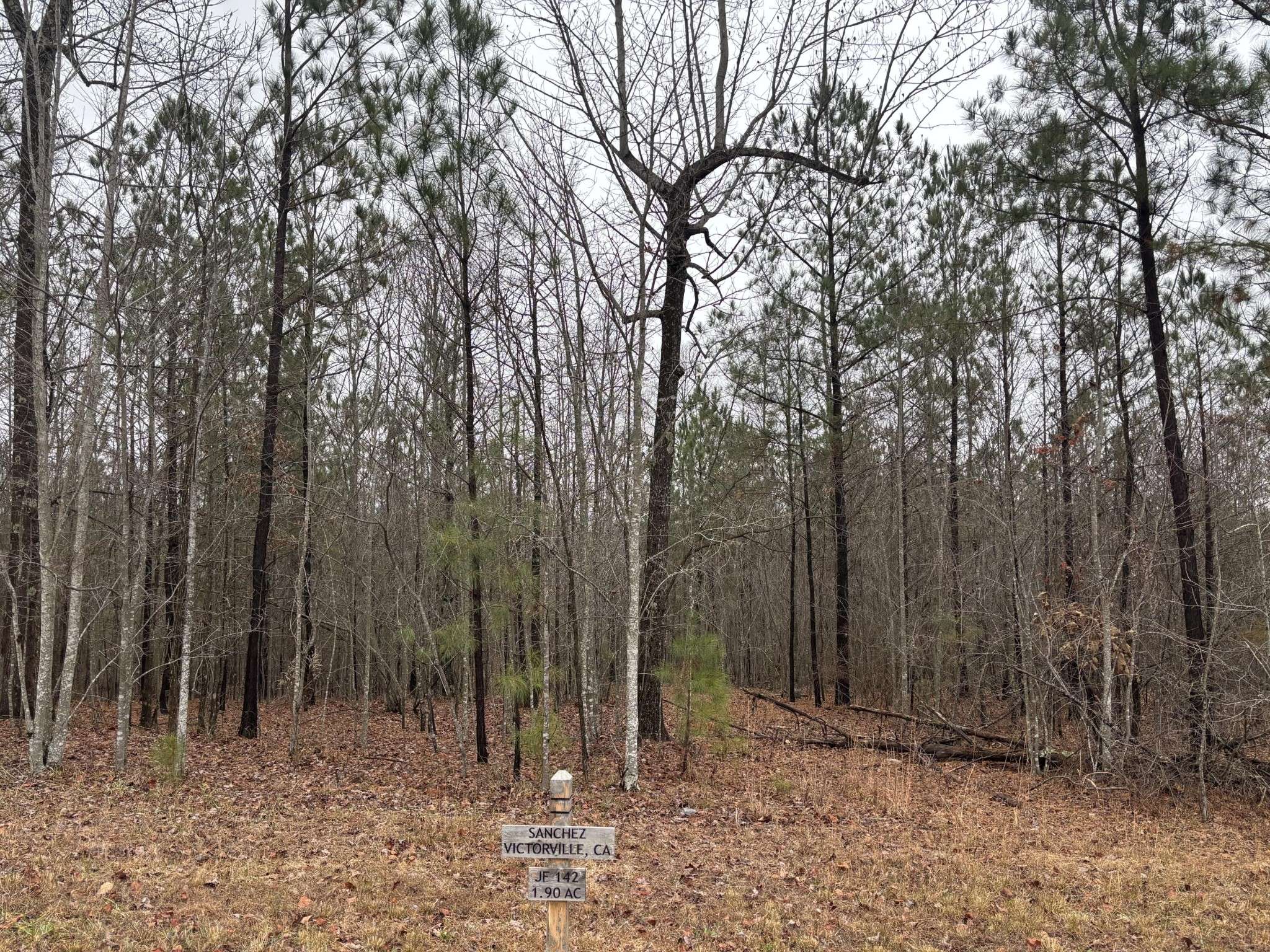 3699 Crockett Pointe, Jasper, TN 37347