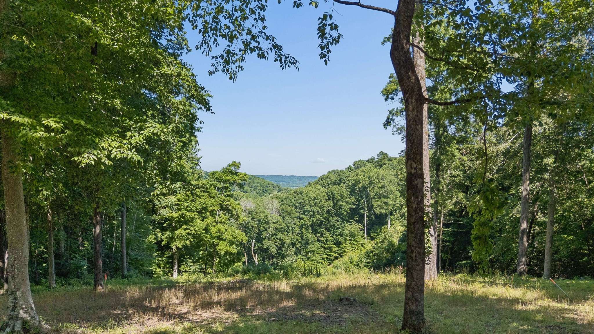 5436 Parker Branch Rd, Franklin, TN 37064