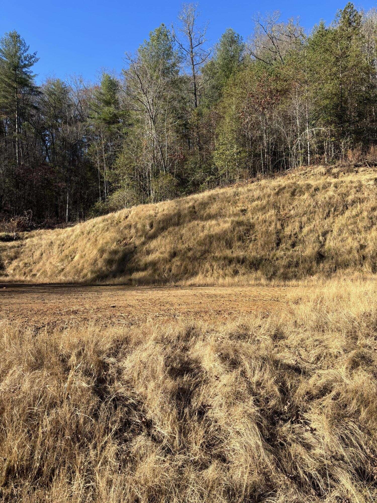 476 Appalachia Dam Road, Farner, TN 37333