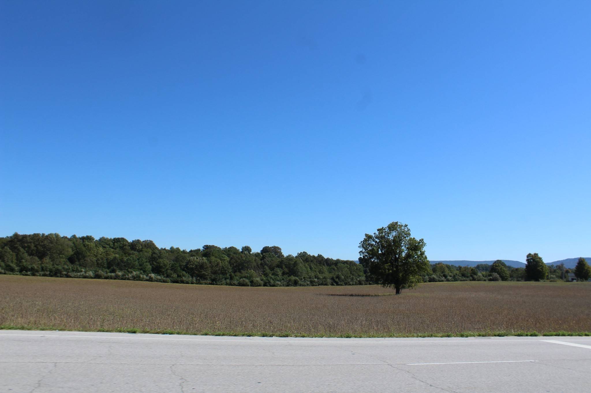 0 Old Wells Rd, Morrison, TN 37357