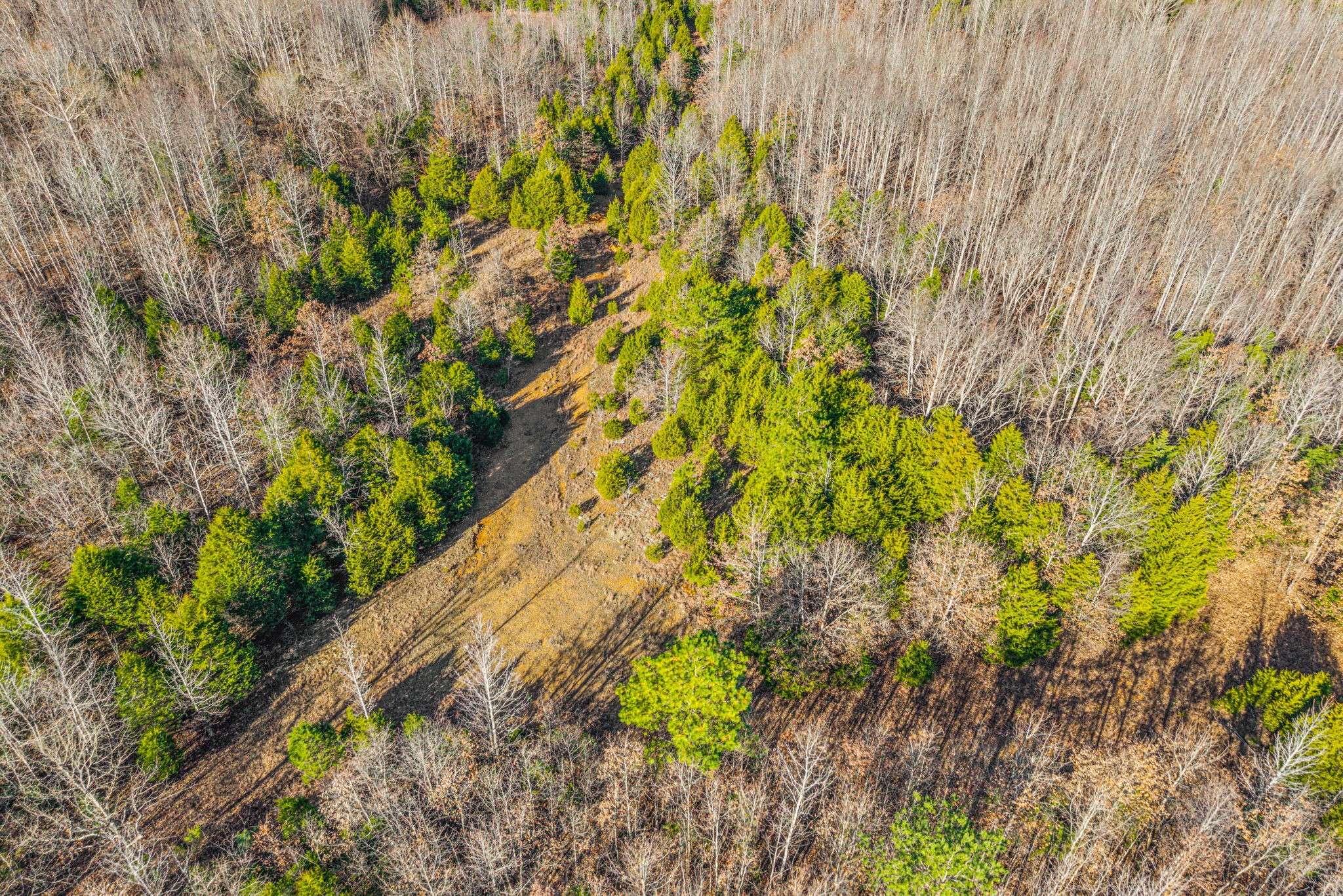 96 Ramery Rd, Cumberland City, TN 37050