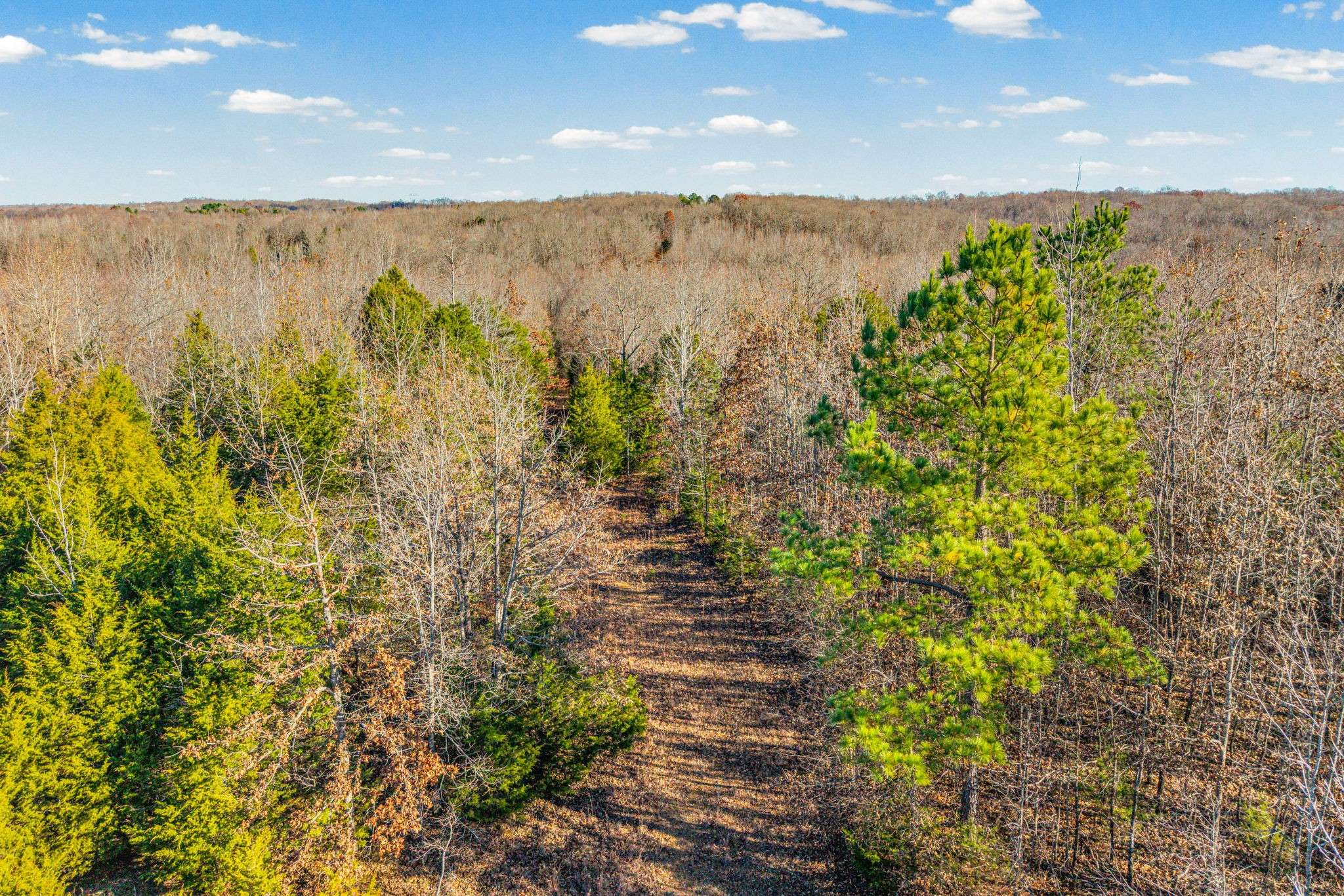 96 Ramery Rd, Cumberland City, TN 37050