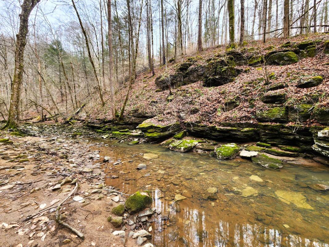 0 Apache Rd, Jamestown, TN 38556