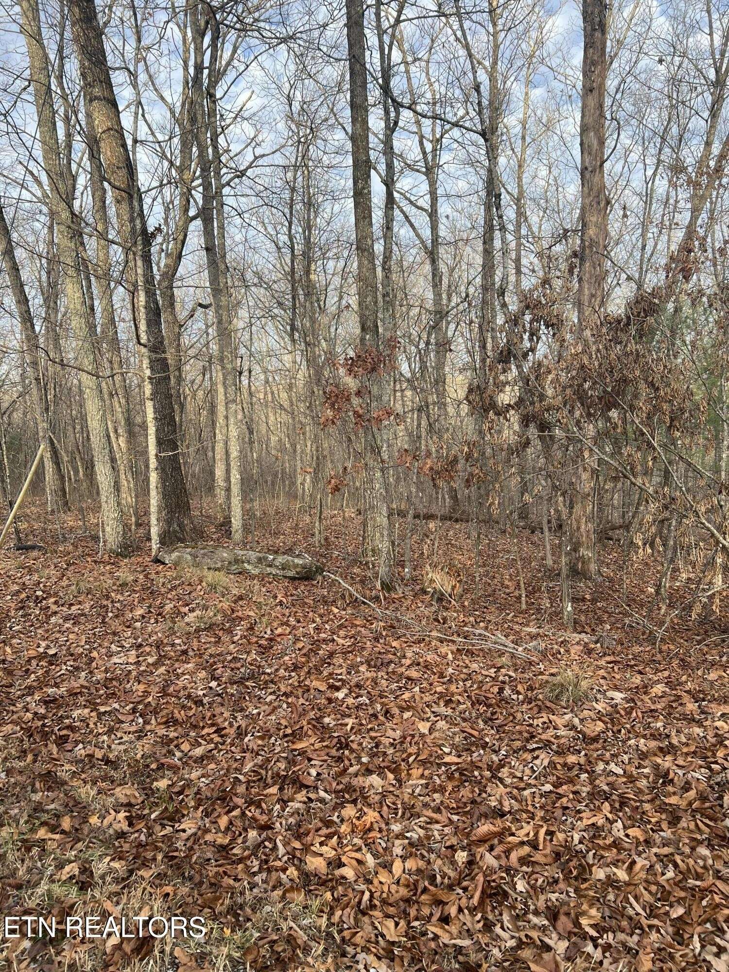 240 Albemarle Circle, Crossville, TN 38558
