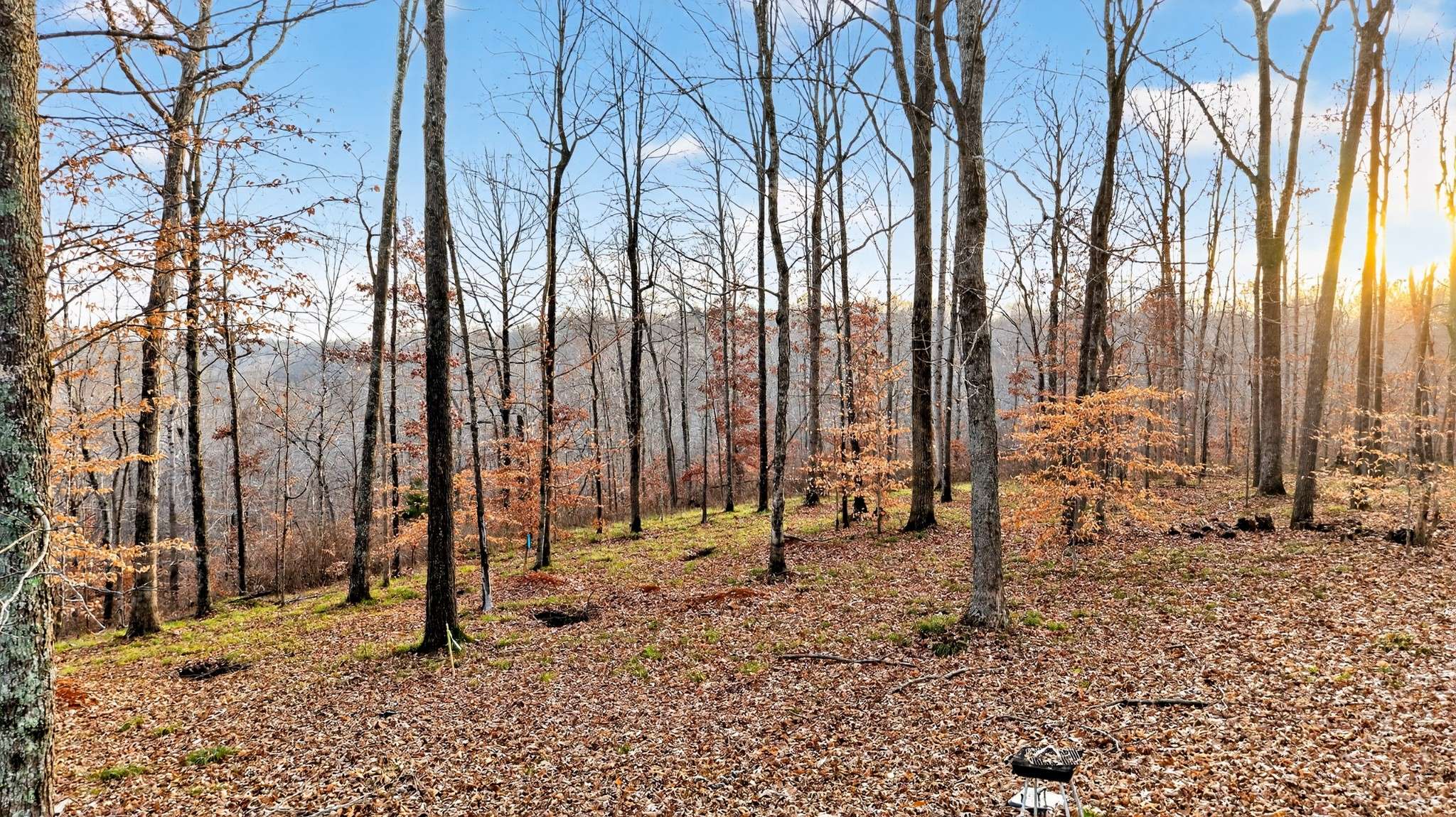 100 Waynoe Road, Ashland City, TN 37015