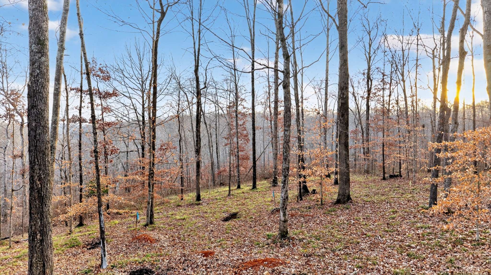 100 Waynoe Road, Ashland City, TN 37015