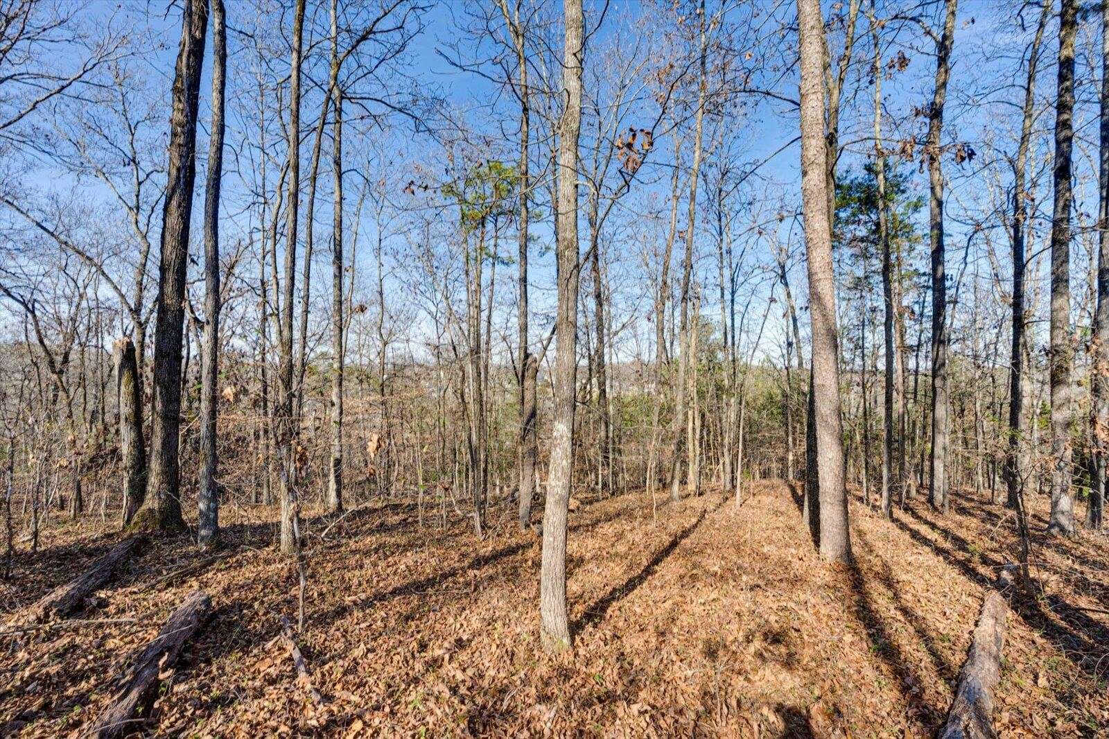 5831 Hunter Road, Ooltewah, TN 37363