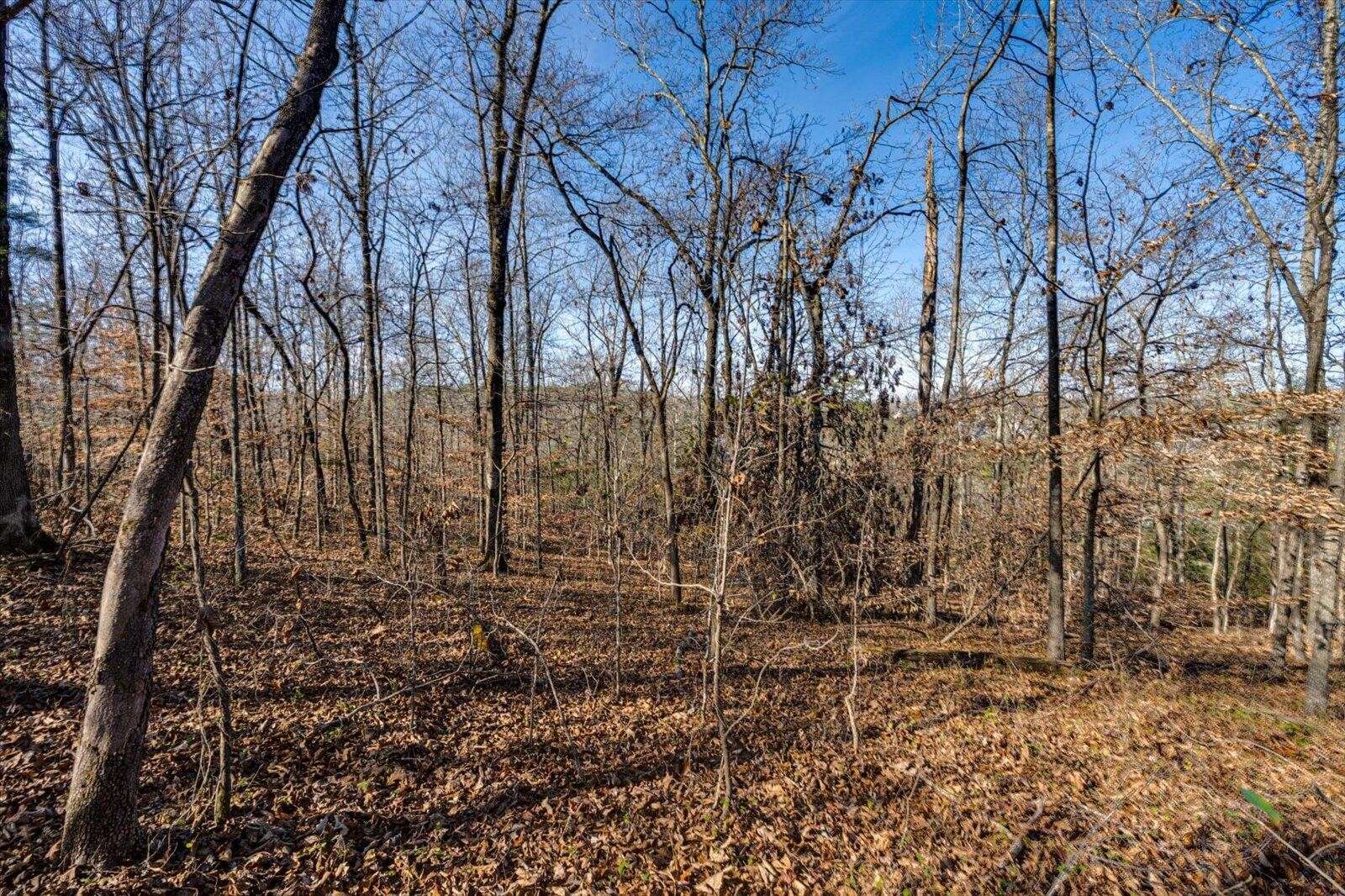 5831 Hunter Road, Ooltewah, TN 37363