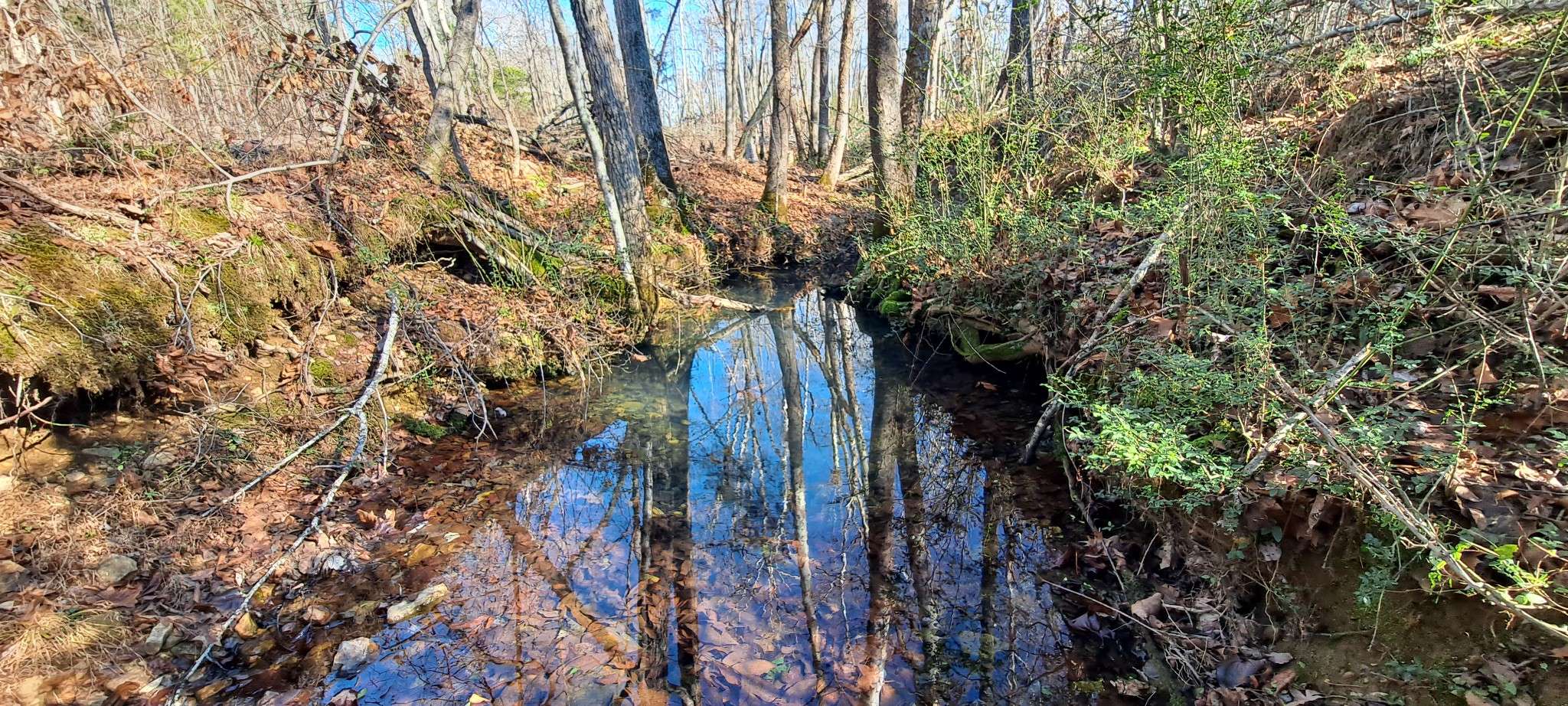 0 NW Piney Road, Dickson, TN 37055