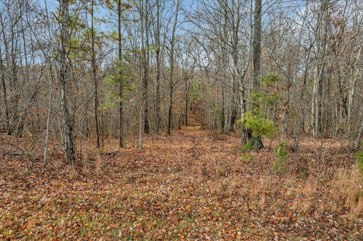 0 Crockett Point, Jasper, TN 37347