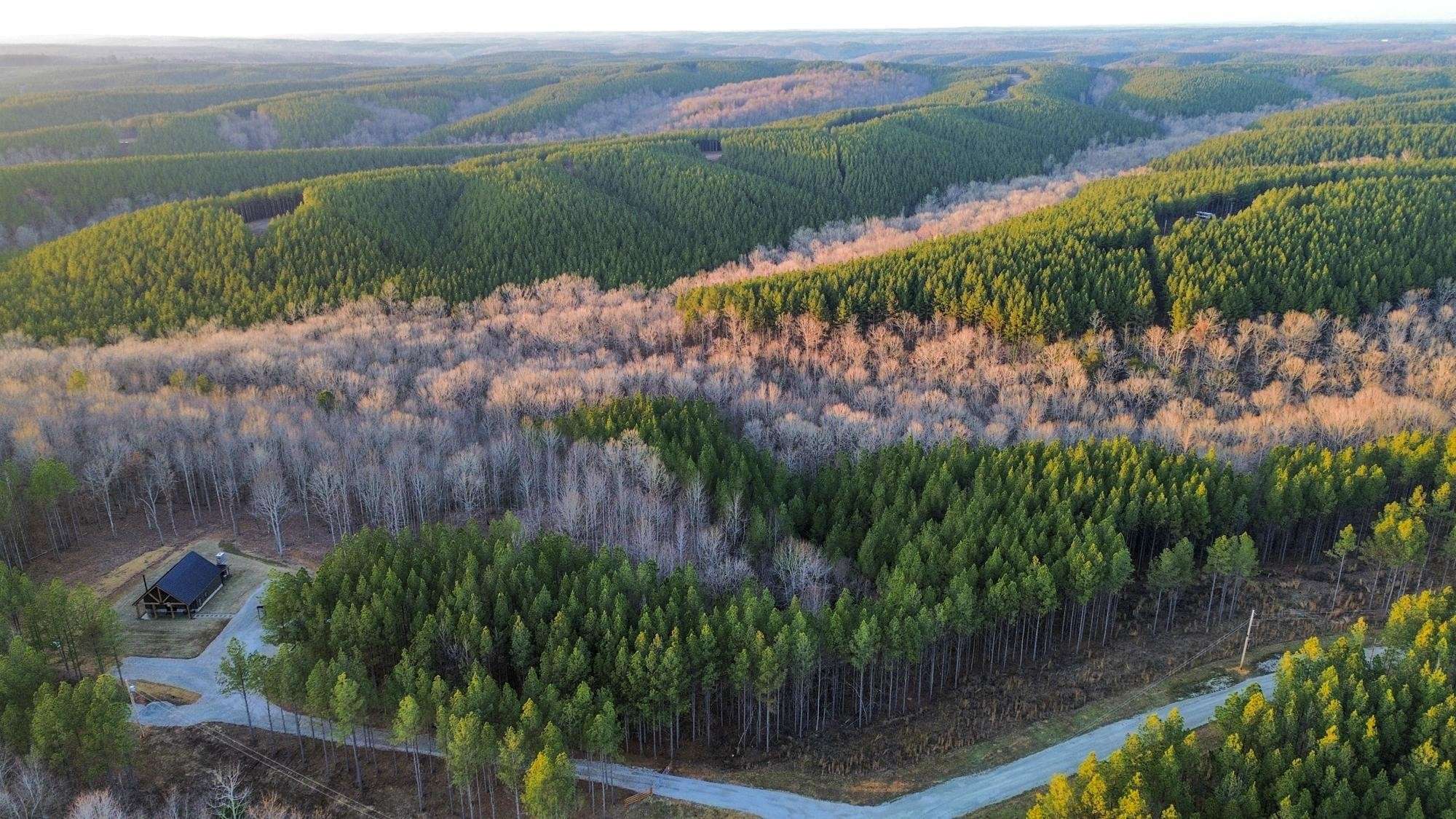 0 Summit Dr, Hohenwald, TN 38462