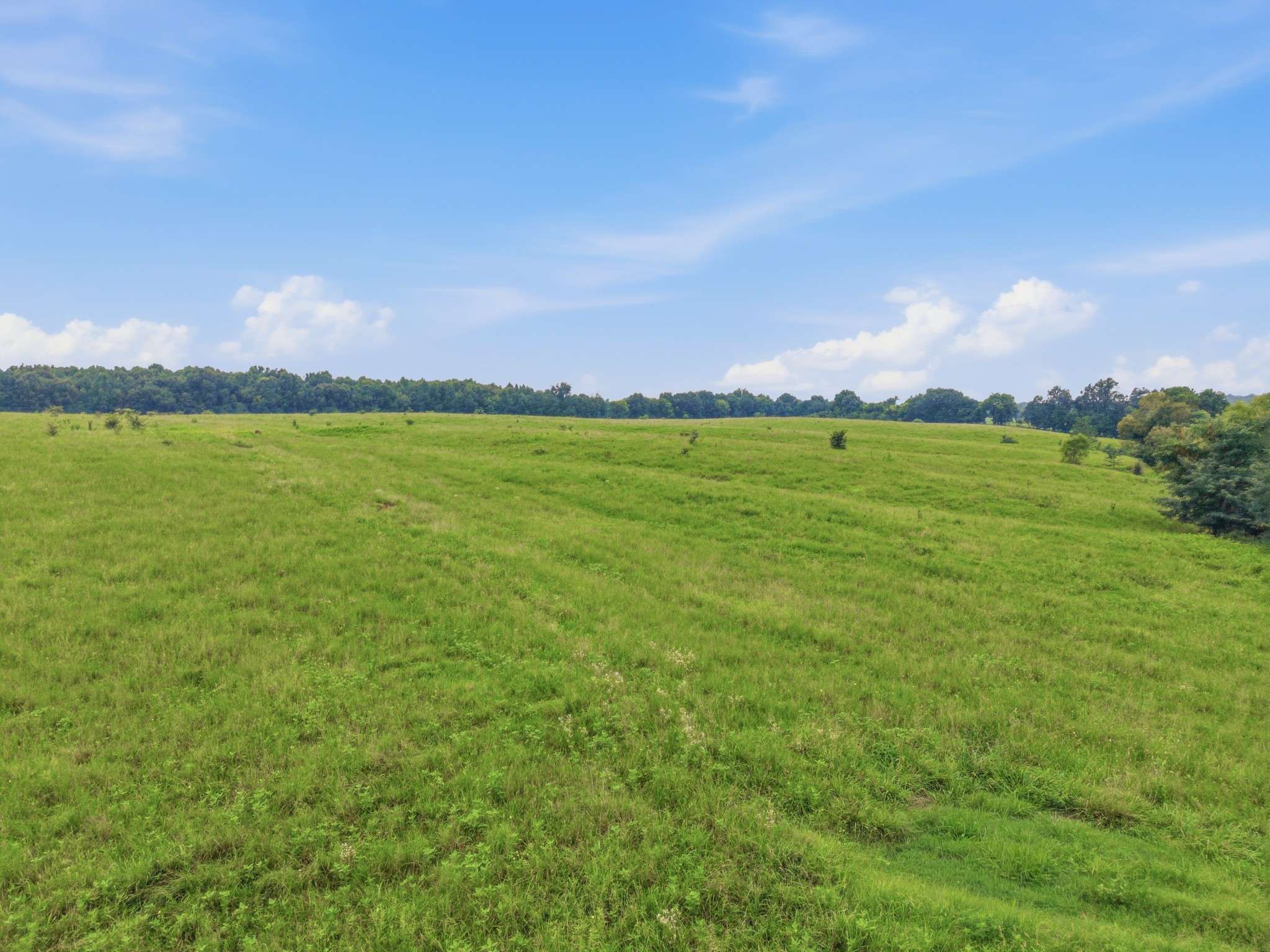 46 Caps rd, Indian Mound, TN 37079