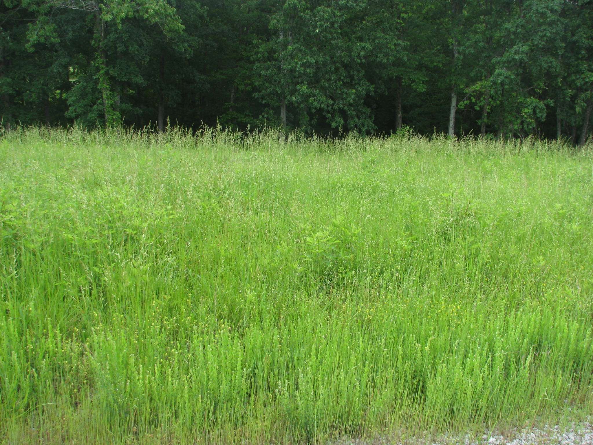 0 Barge Lane, Waverly, TN 37185