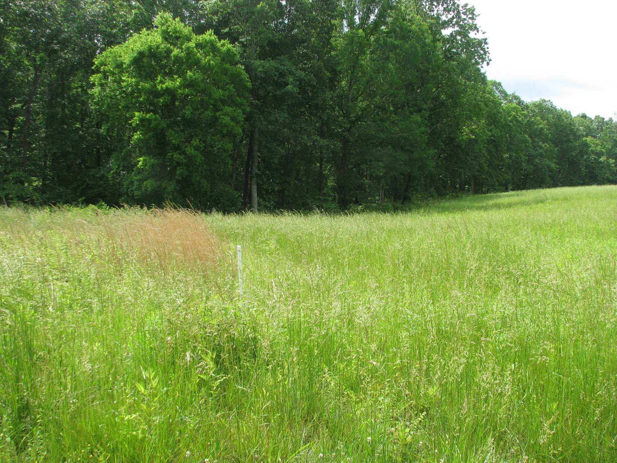 0 Barge Lane, Waverly, TN 37185