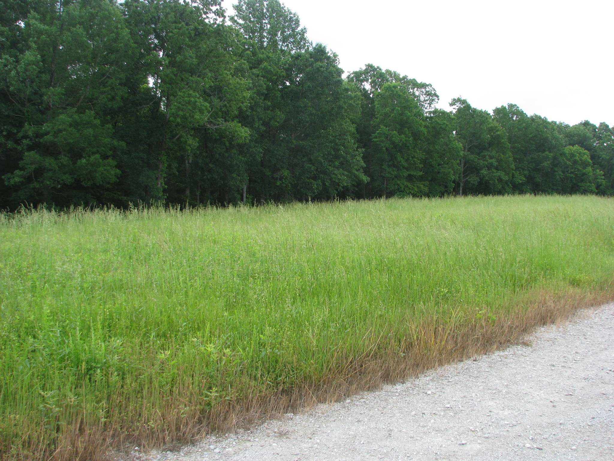 0 Barge Lane, Waverly, TN 37185