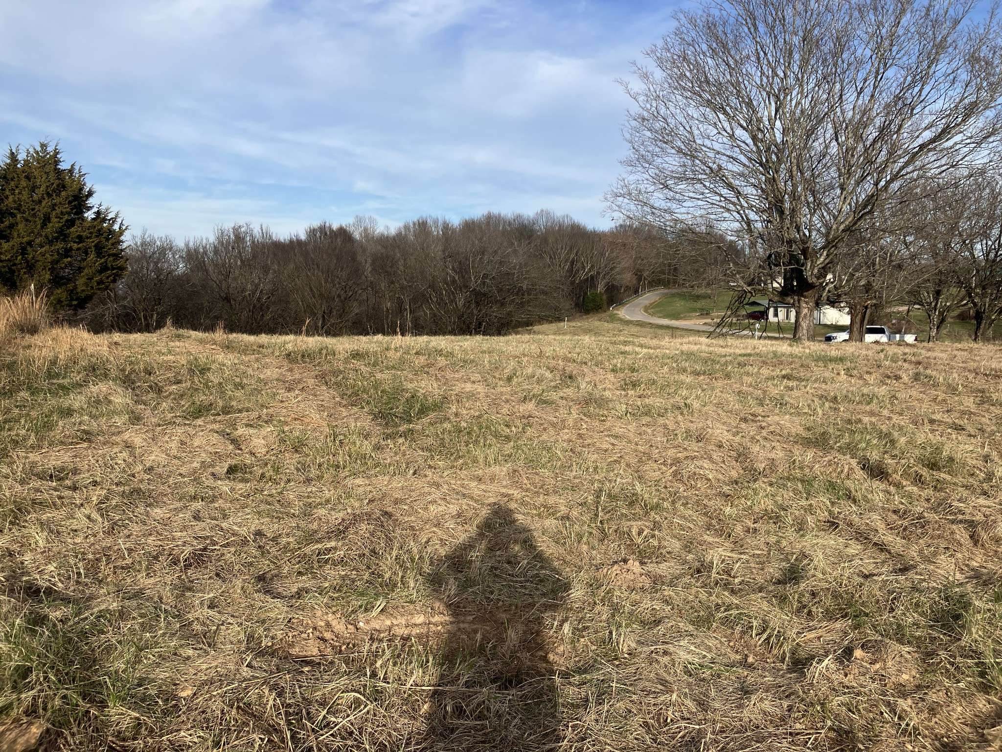 1 Diana Ridge RD, Pulaski, TN 38478