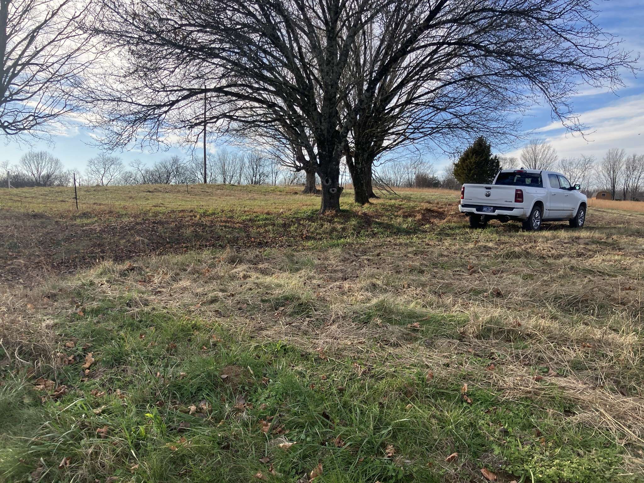 1 Diana Ridge RD, Pulaski, TN 38478
