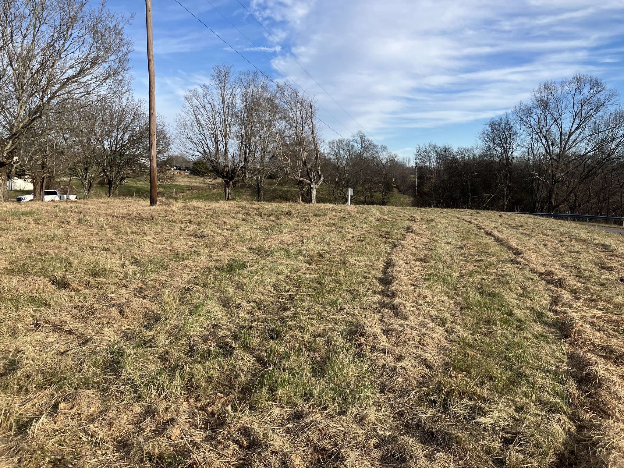 1 Diana Ridge RD, Pulaski, TN 38478