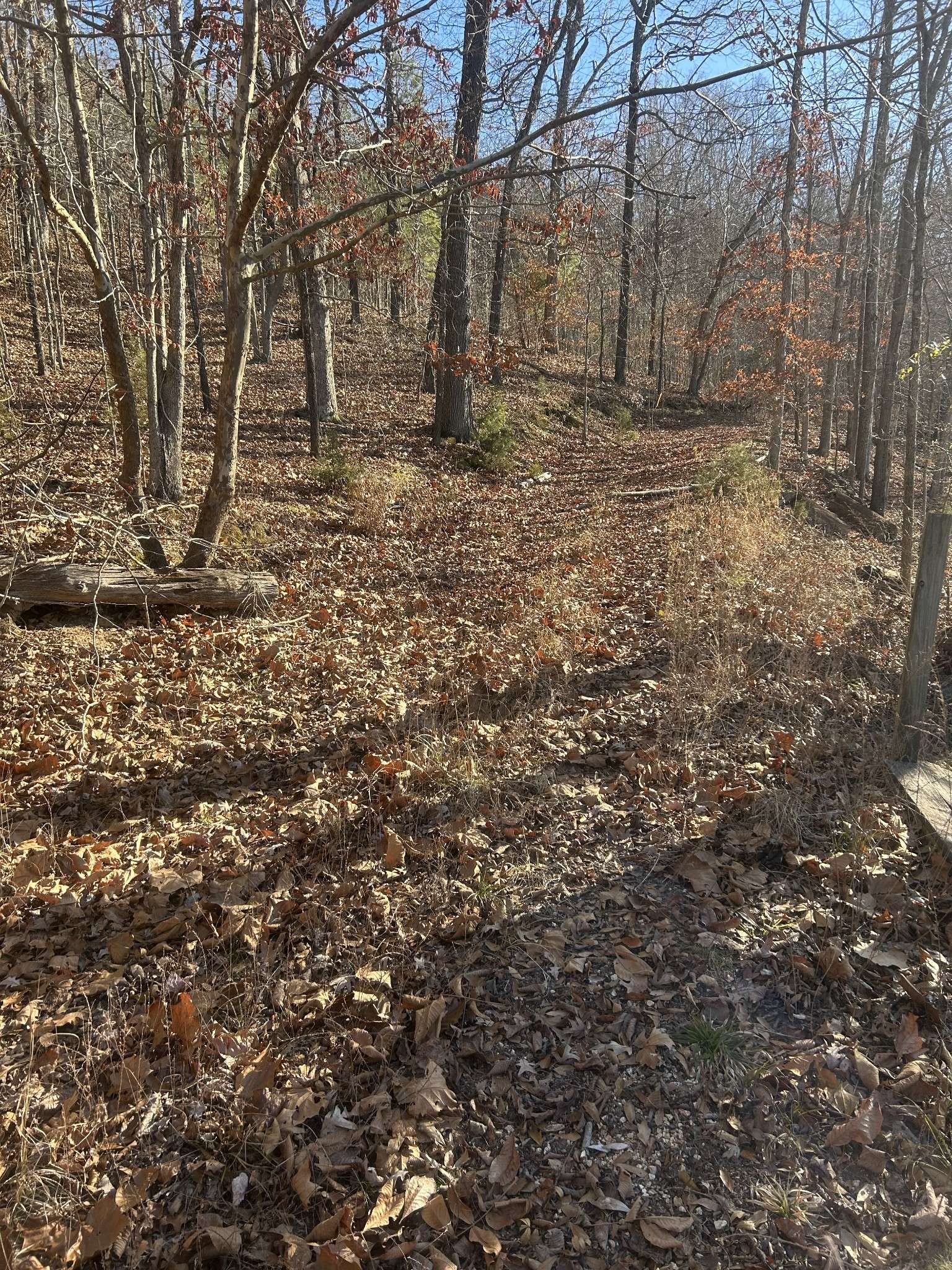 0 Davis N Lake Access Rd, Camden, TN 38320