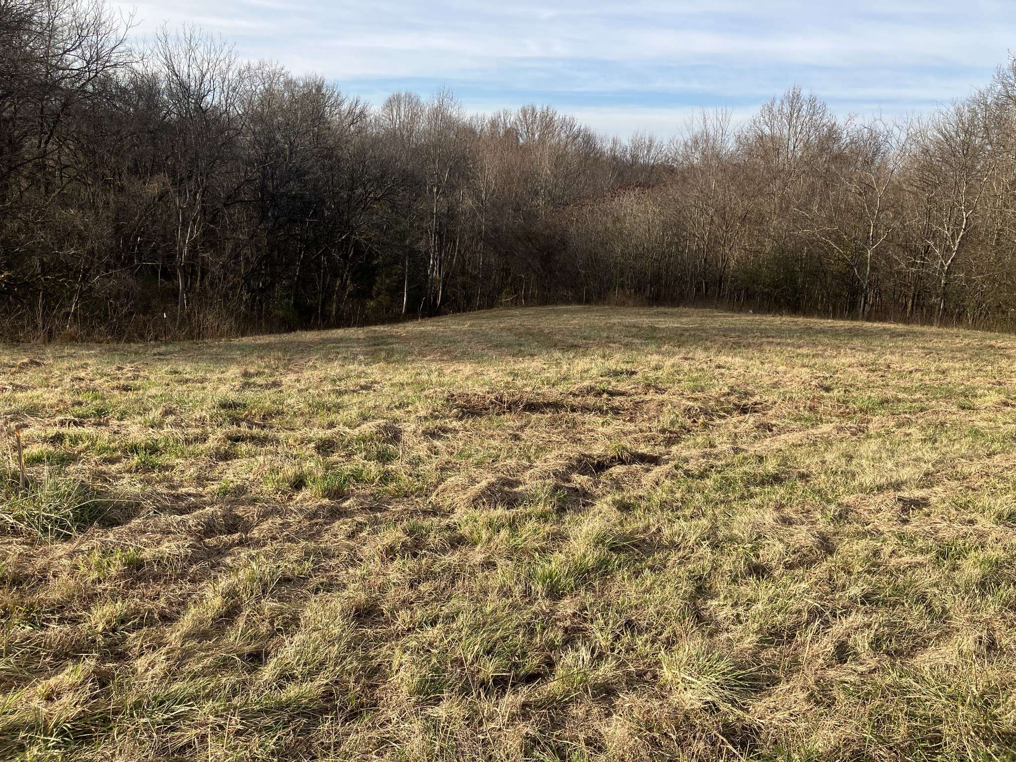 3 Diana Ridge RD, Pulaski, TN 38478