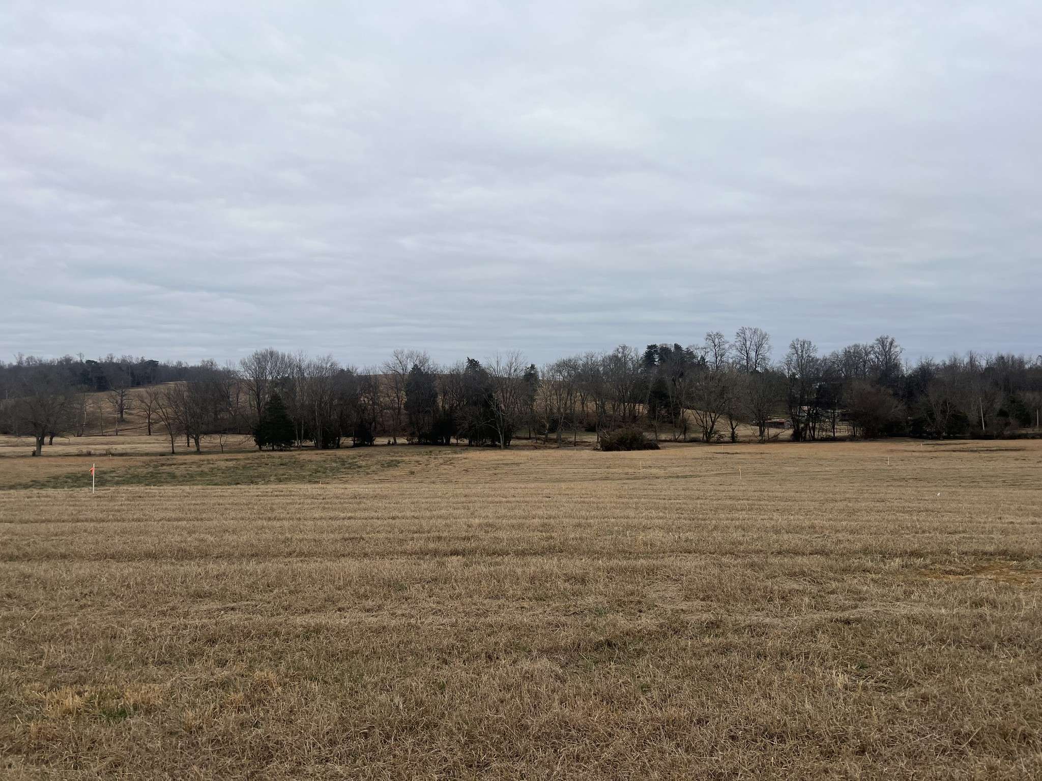 19 Clay County Hwy, Moss, TN 38575