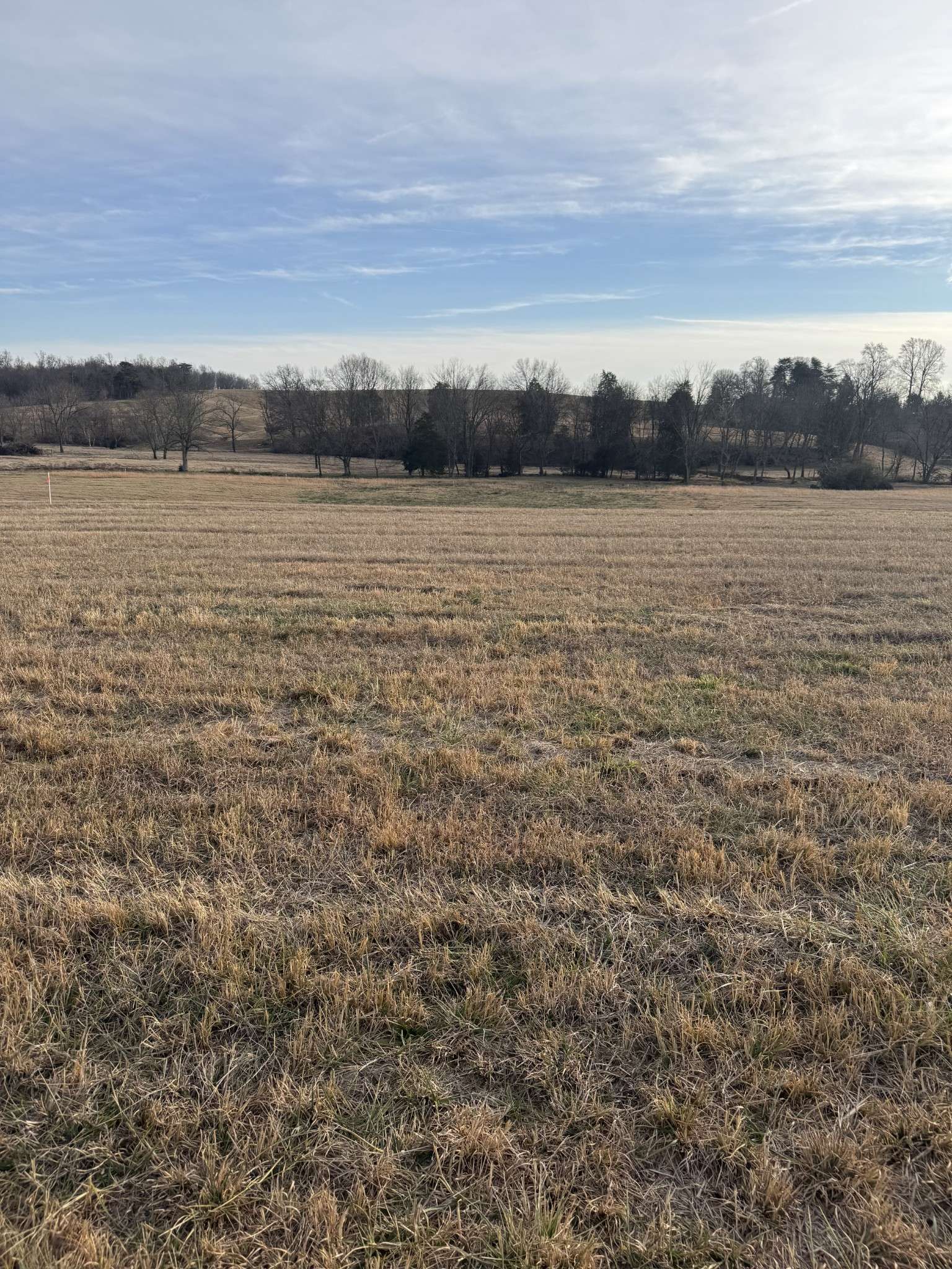 19 Clay County Hwy, Moss, TN 38575