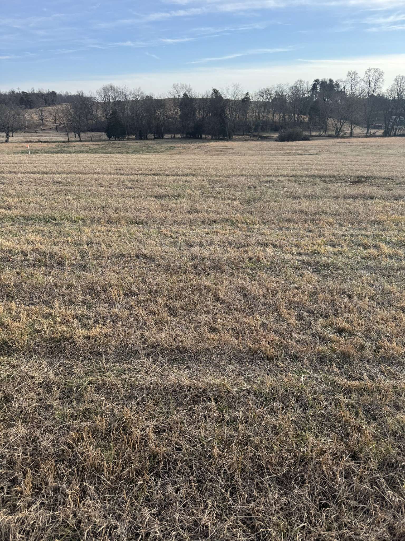 21 Clay County Hwy, Moss, TN 38575