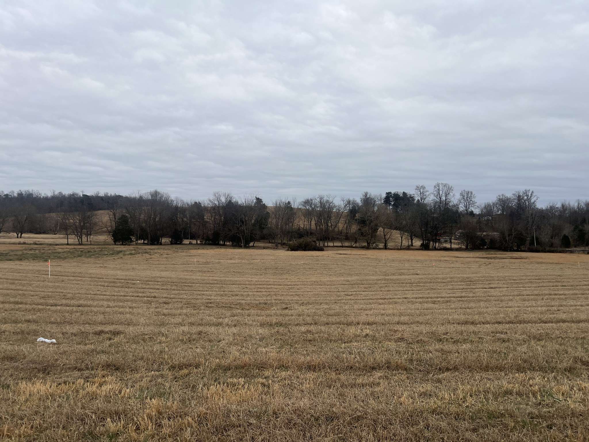 21 Clay County Hwy, Moss, TN 38575