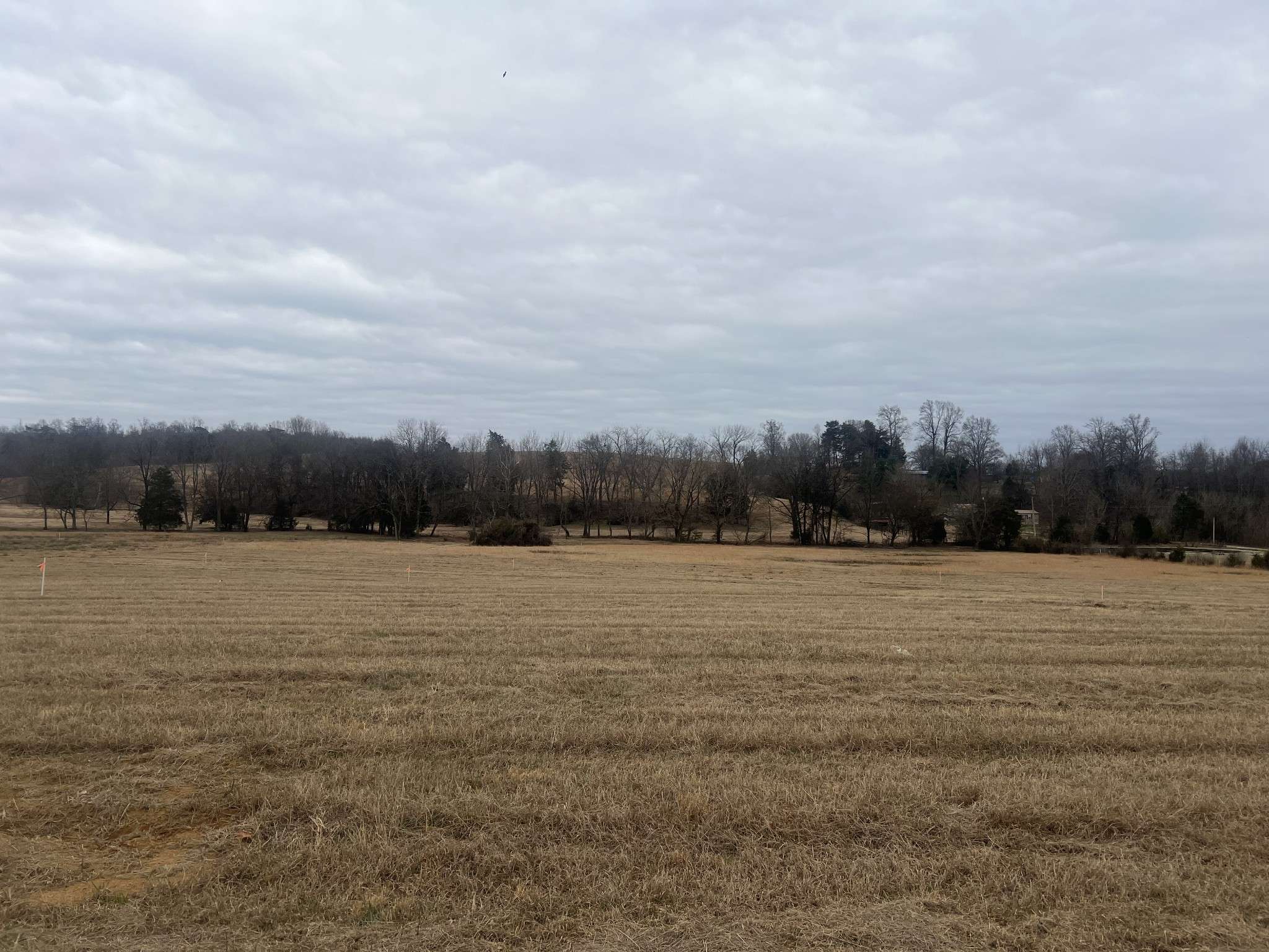 22 Clay County Hwy, Moss, TN 38575