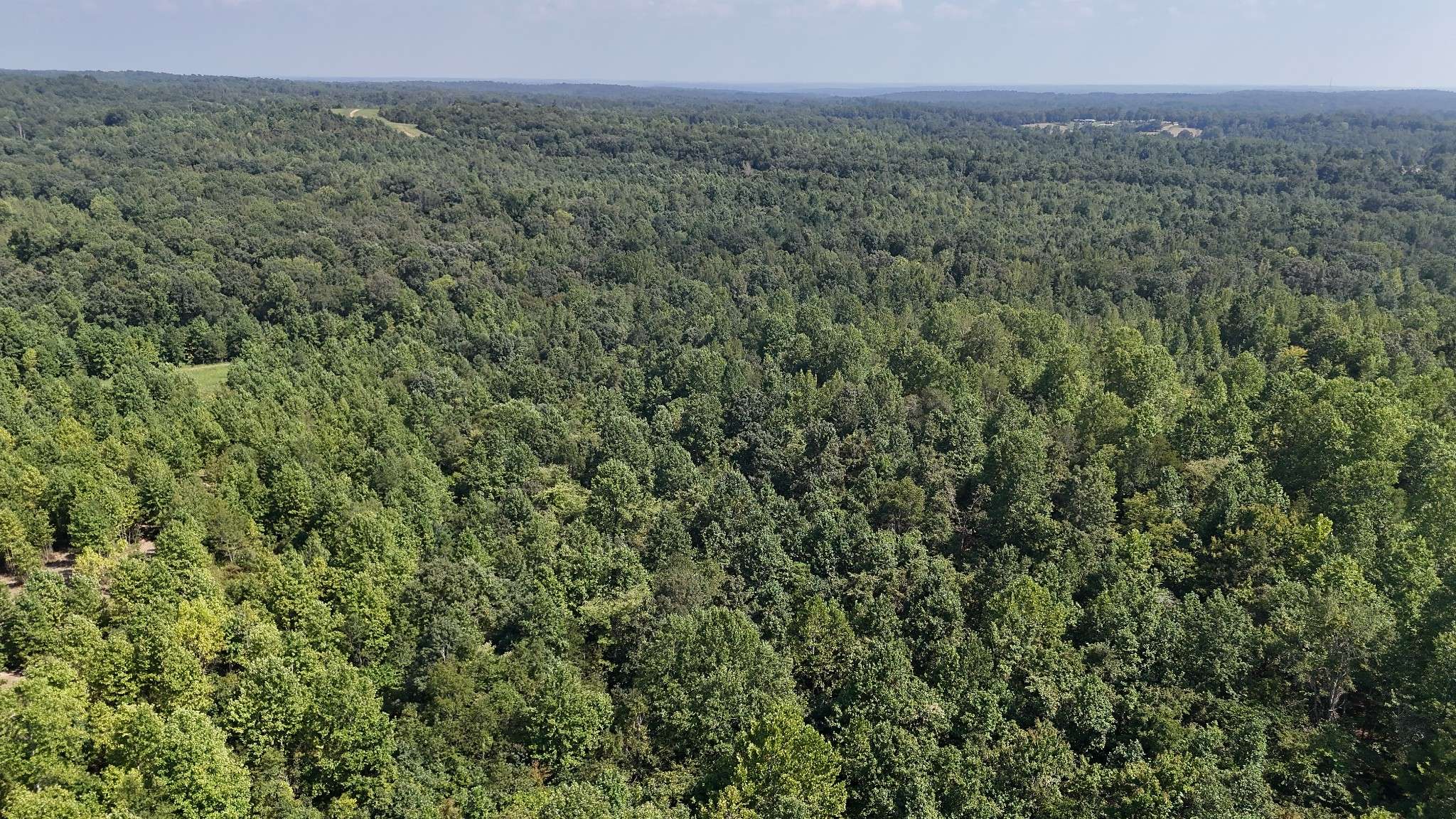 0 Freedom Ridge, Indian Mound, TN 37079