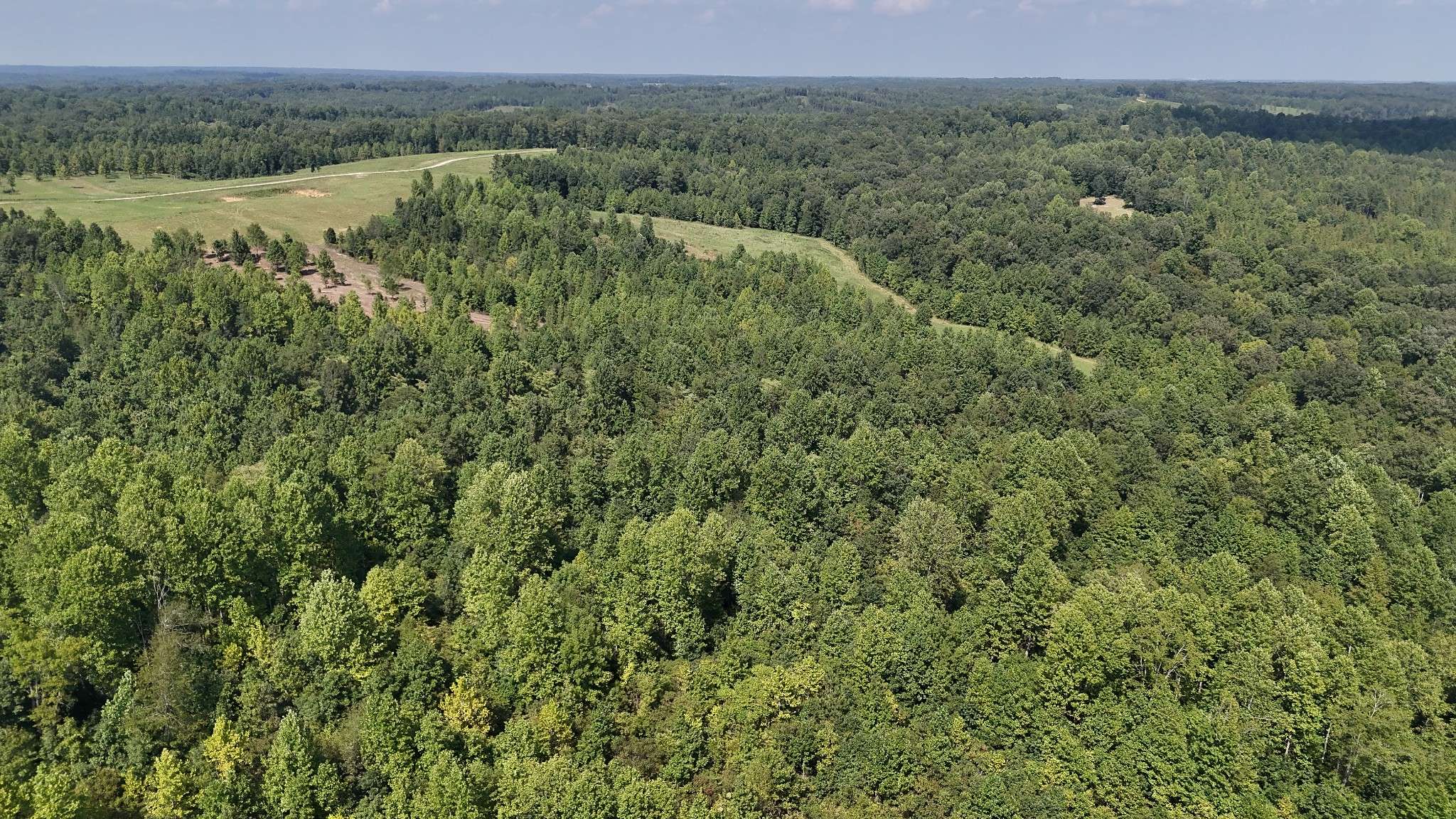 0 Freedom Ridge, Indian Mound, TN 37079