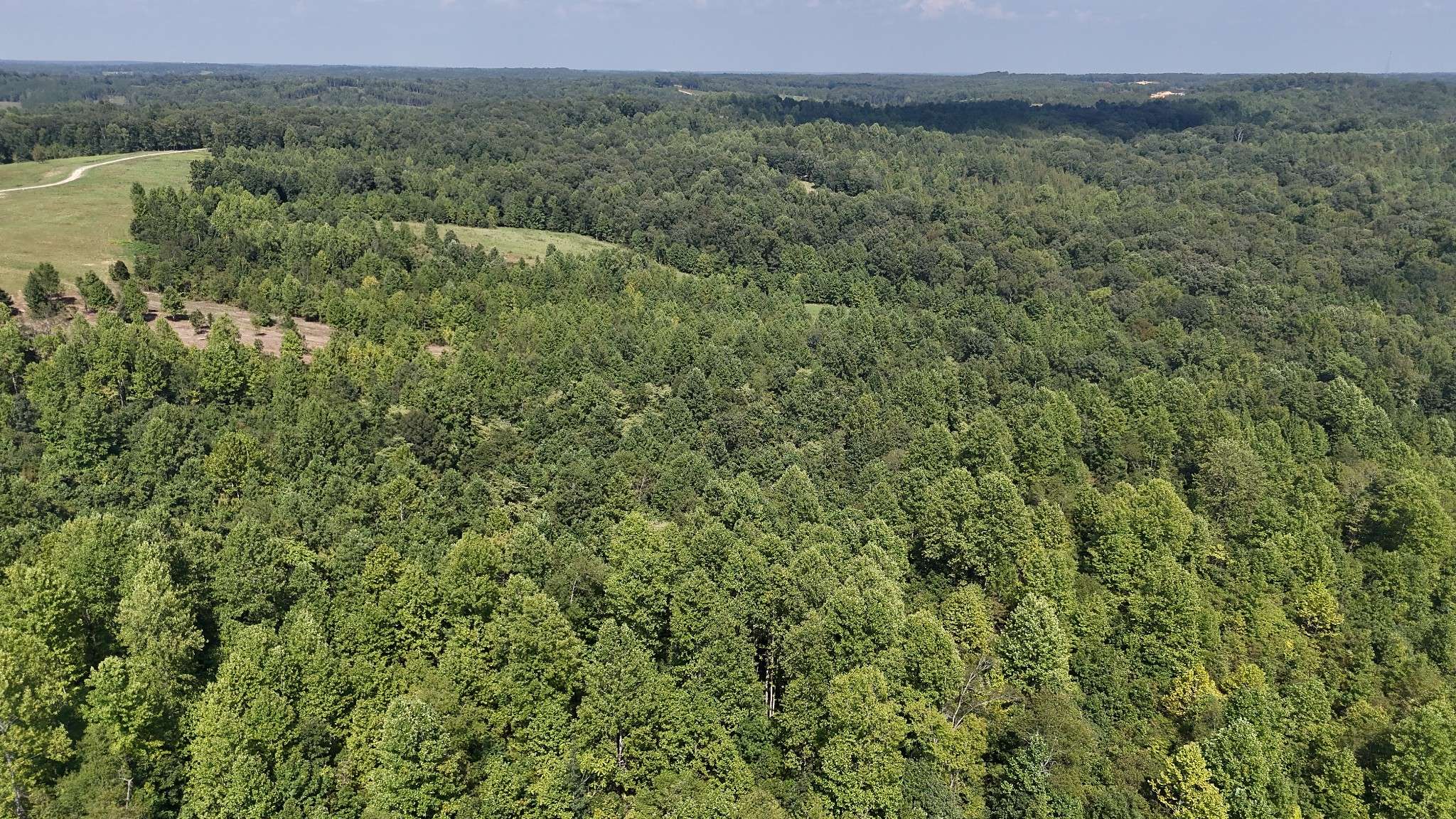0 Freedom Ridge, Indian Mound, TN 37079