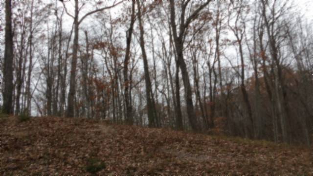 0 Cumberland Cove Rd, Monterey, TN 38574