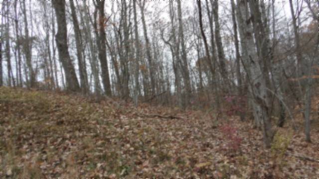 0 Cumberland Cove Rd, Monterey, TN 38574