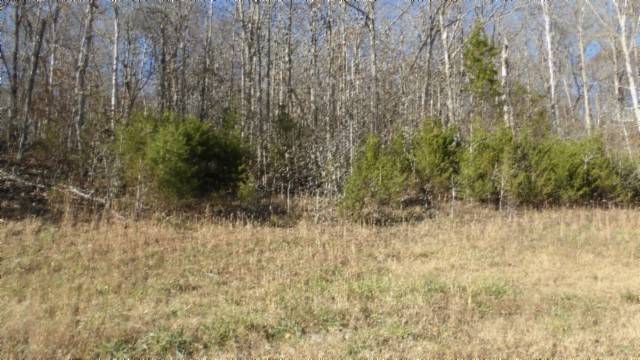 0 Cheyenne Drive, Jamestown, TN 38556