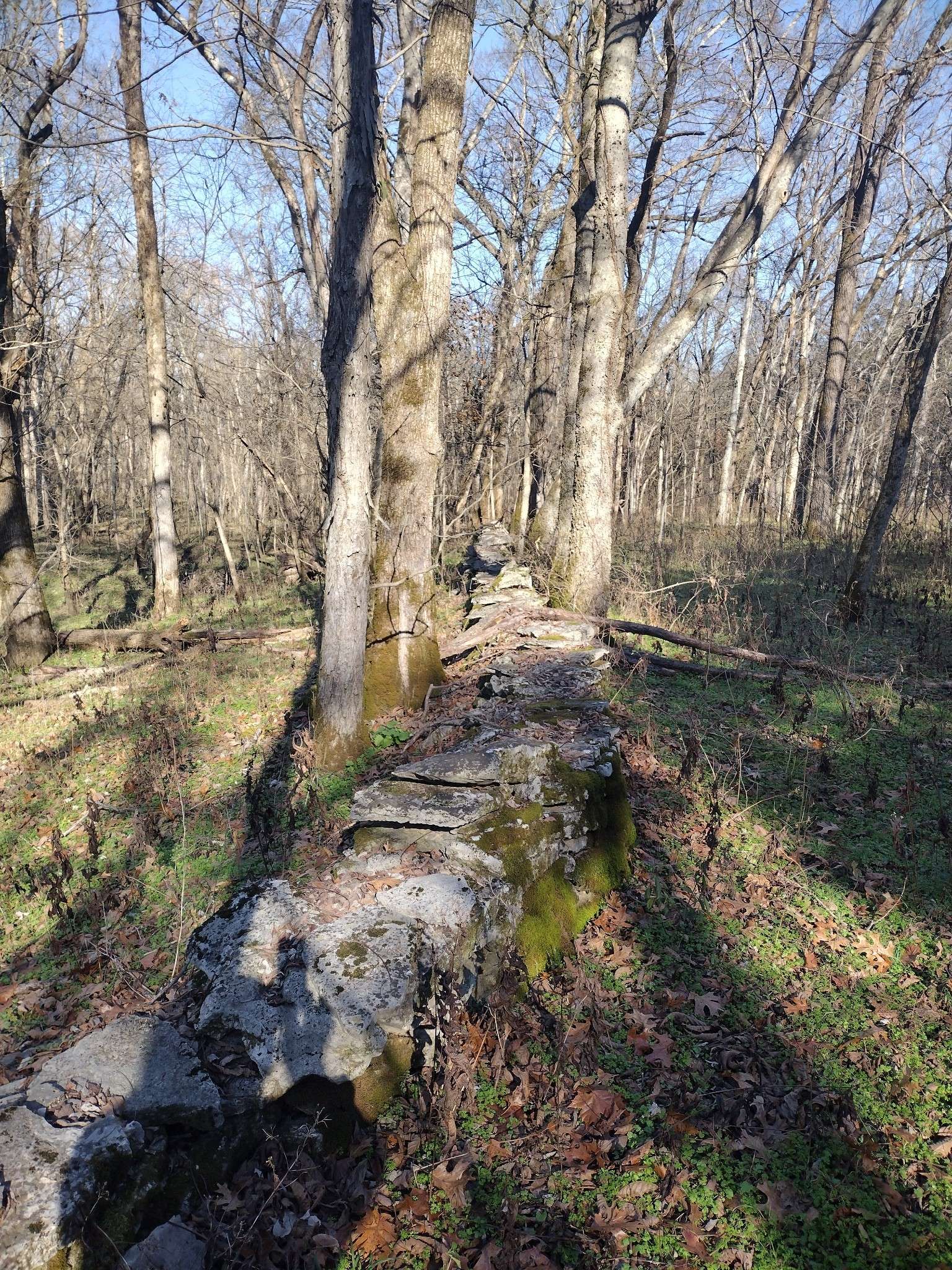 980 Baldy Ford Road, Lascassas, TN 37085