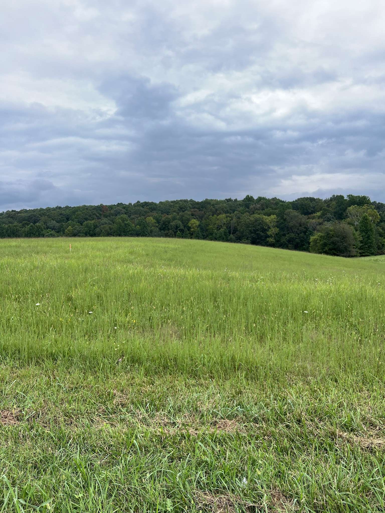 9 Highway 52, Red Boiling Springs, TN 37150