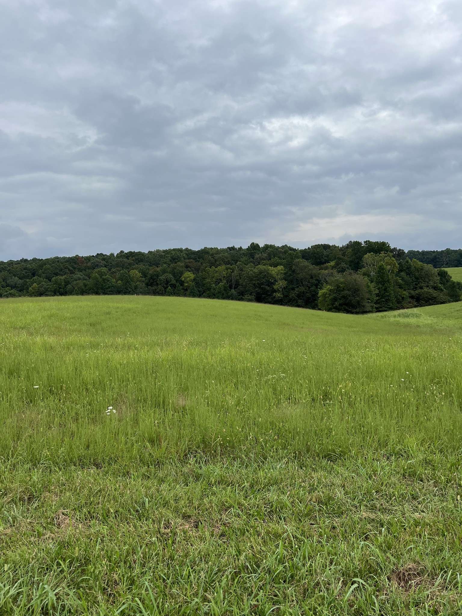 9 Highway 52, Red Boiling Springs, TN 37150