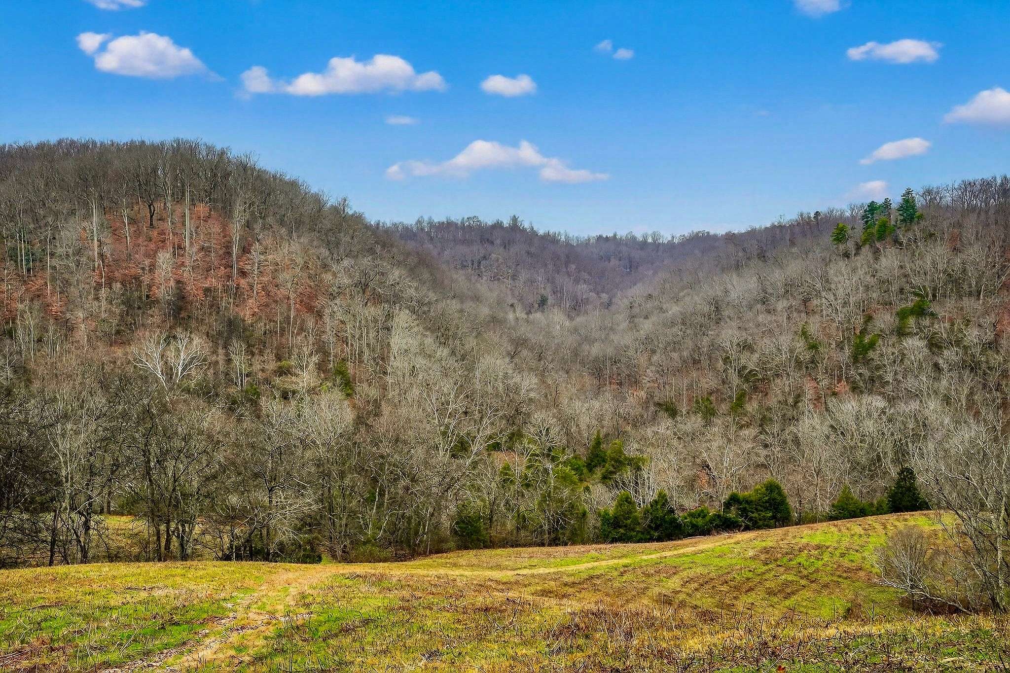 2578 Pea Ridge Rd, Liberty, TN 37095