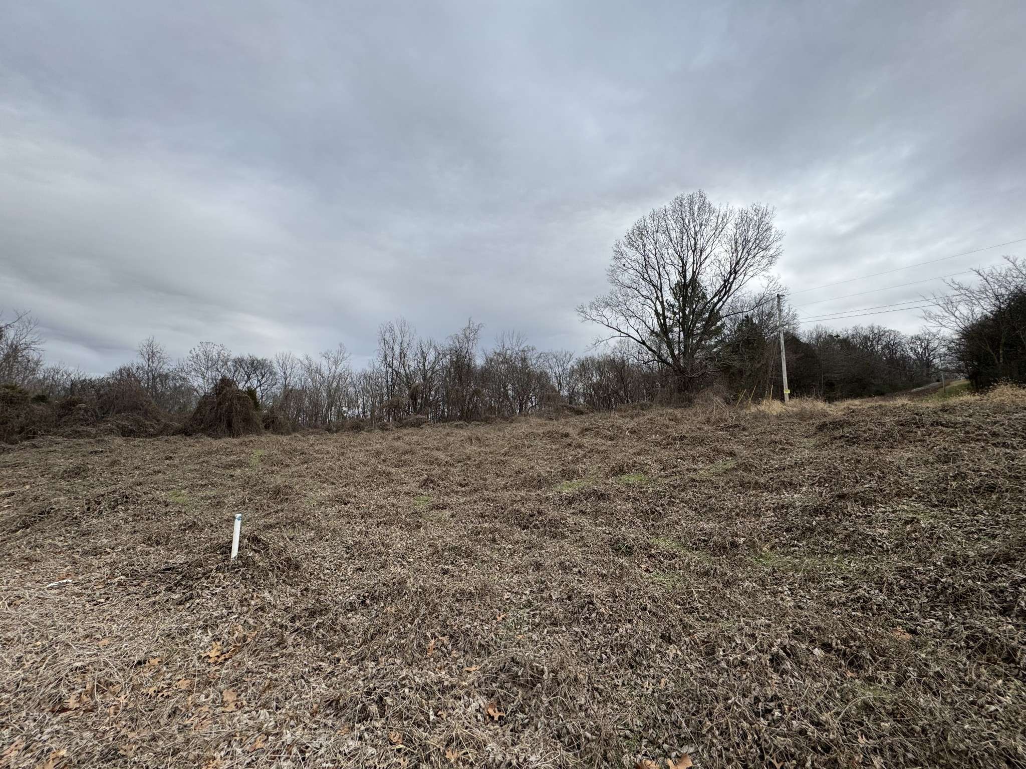 7119 Polk Ln, Columbia, TN 38401
