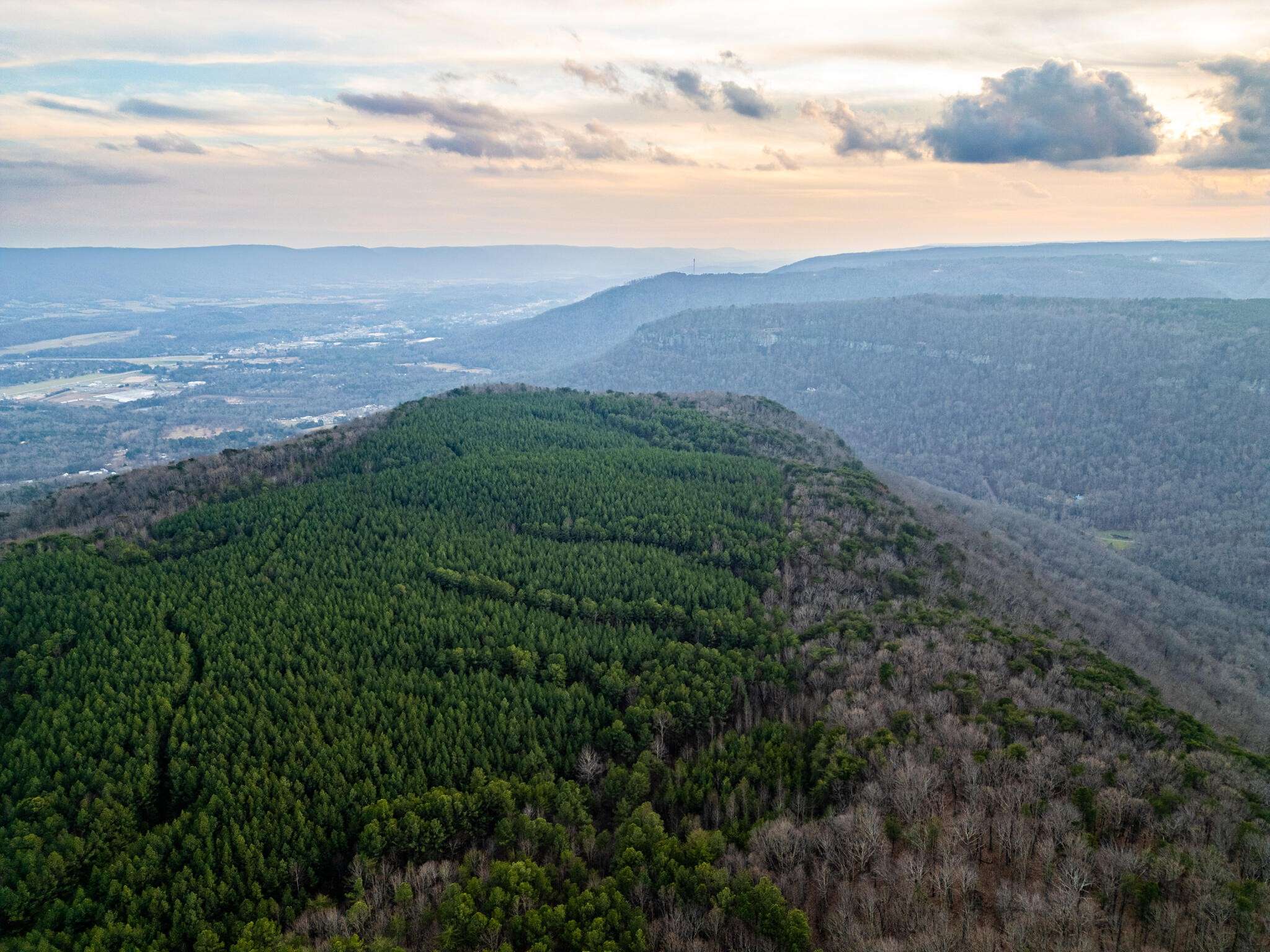 2900300 Smith Mountain, Dunlap, TN 37327