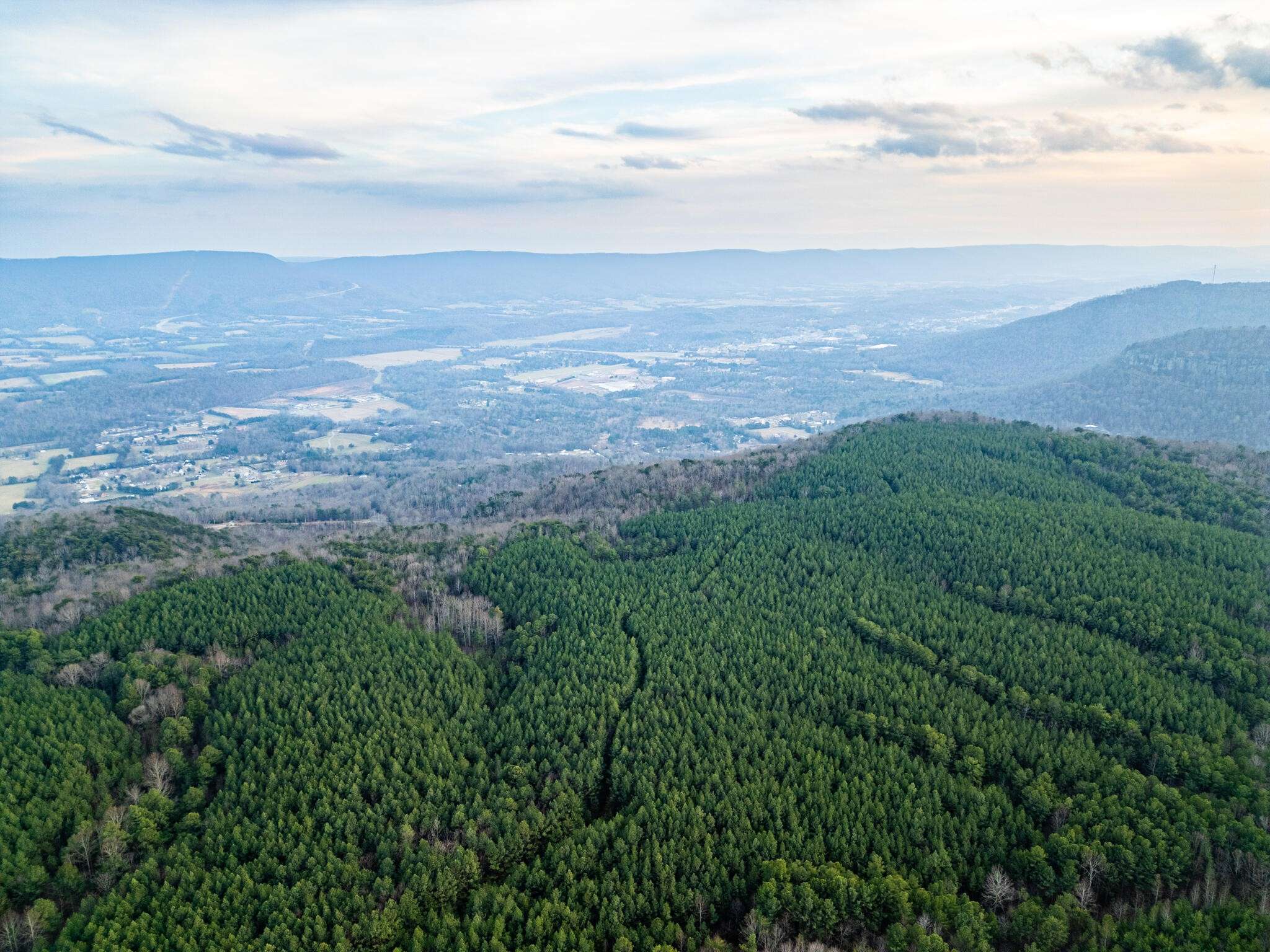 2900300 Smith Mountain, Dunlap, TN 37327