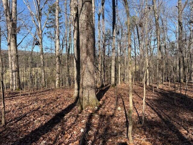 1 County Road 751, Valley Head, AL 35989