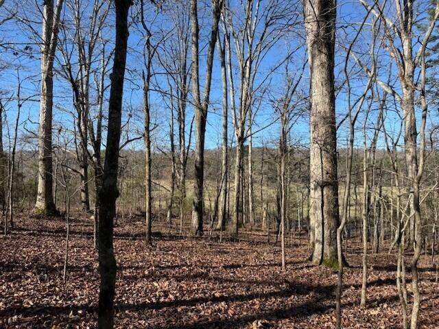 1 County Road 751, Valley Head, AL 35989